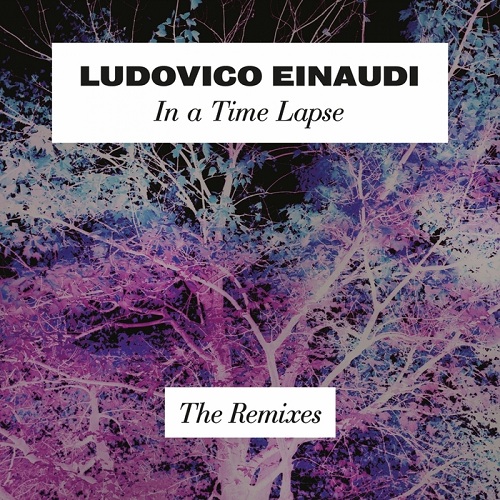 In A Time Lapse (The Remixes)