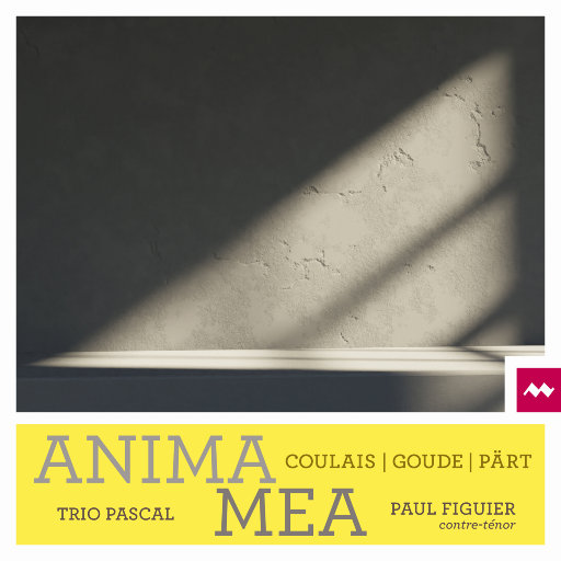 Anima Mea
