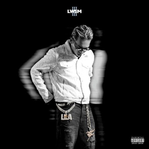 LWSM 3