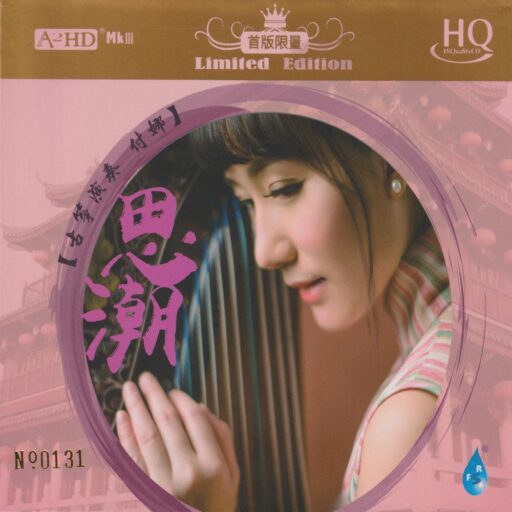 古筝《思潮》