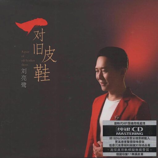 一对旧皮鞋