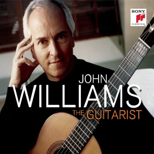 the guitarist