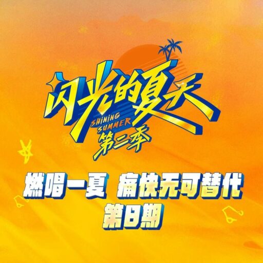 闪光的夏天第二季 第8期