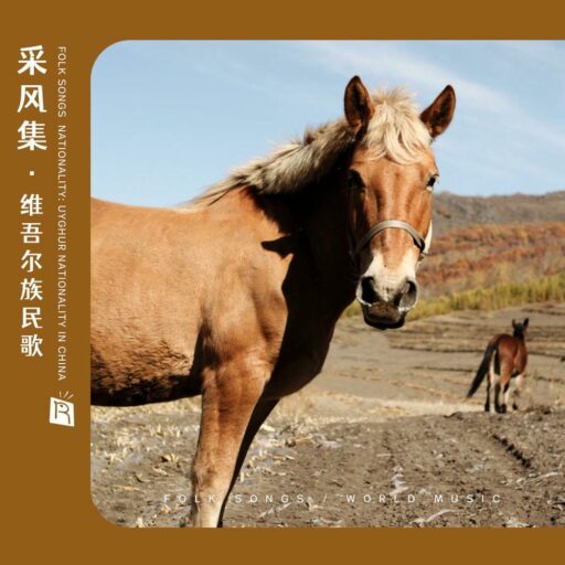 采风集之维吾尔族民歌