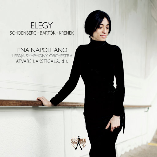 挽歌 (Elegy)