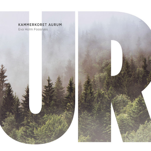 UR (5.1CH/DSD)