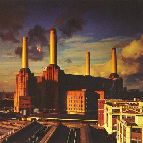 Animals (2011 – Remaster)