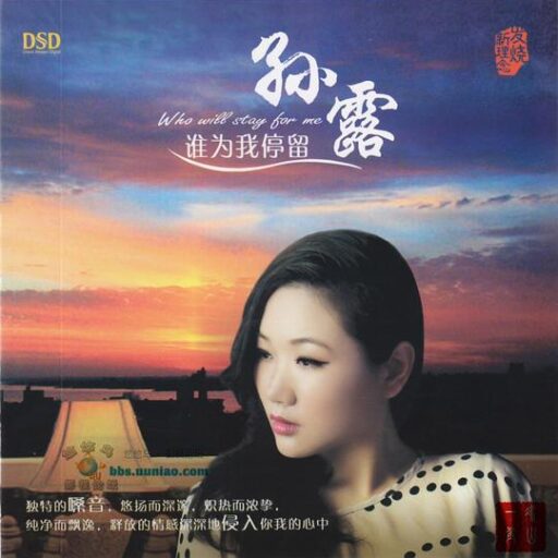 谁为我停留