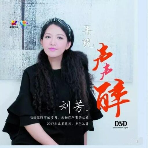 再现声声醉