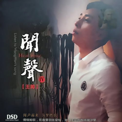 闻声Ⅳ DSD