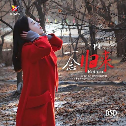 一念归来