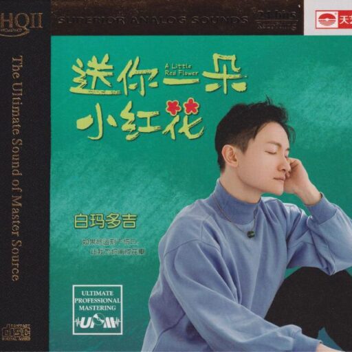 《送你一朵小红花HQII》头版限量编号