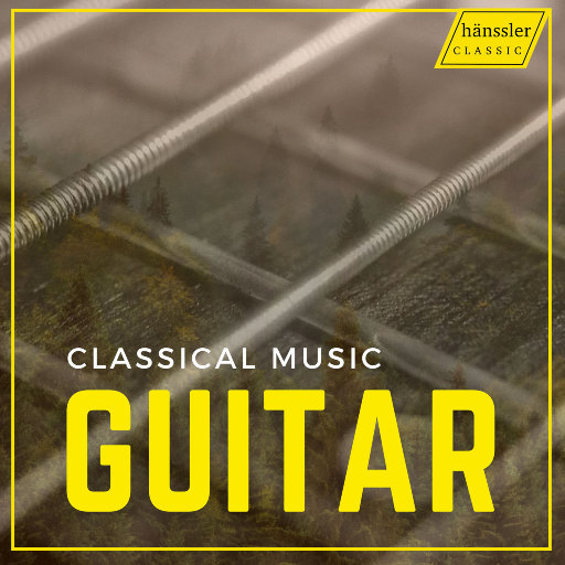吉他精选集 (Best of Guitar)