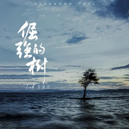倔强的树