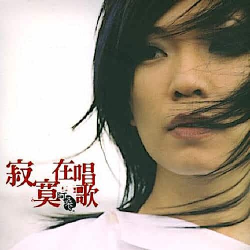 寂寞在唱歌