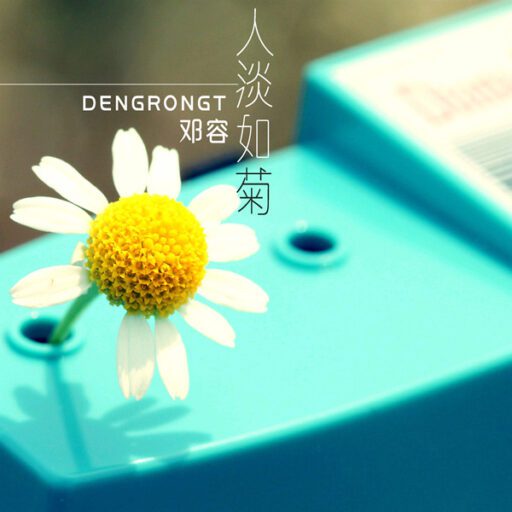 人淡如菊