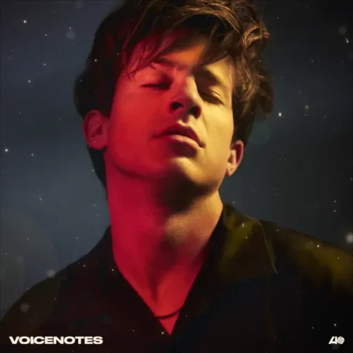 Voicenotes