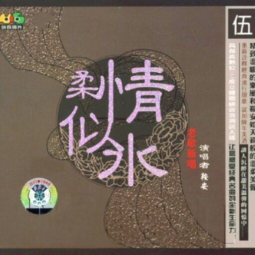 柔情似水5
