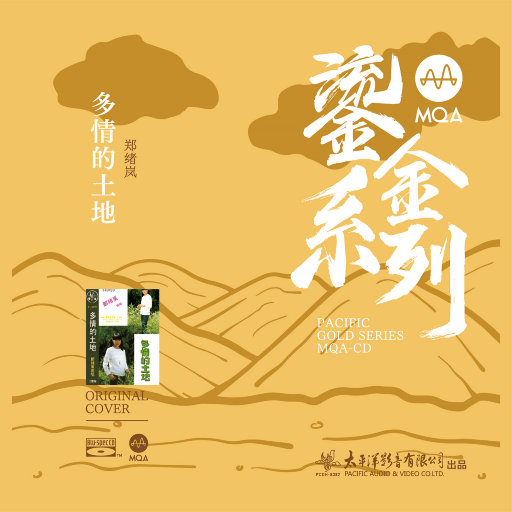 郑绪岚——多情的土地