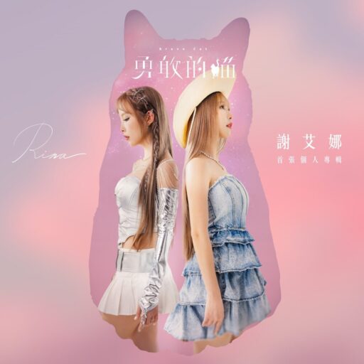 勇敢的猫