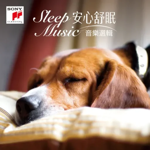 安心舒眠 音乐选集