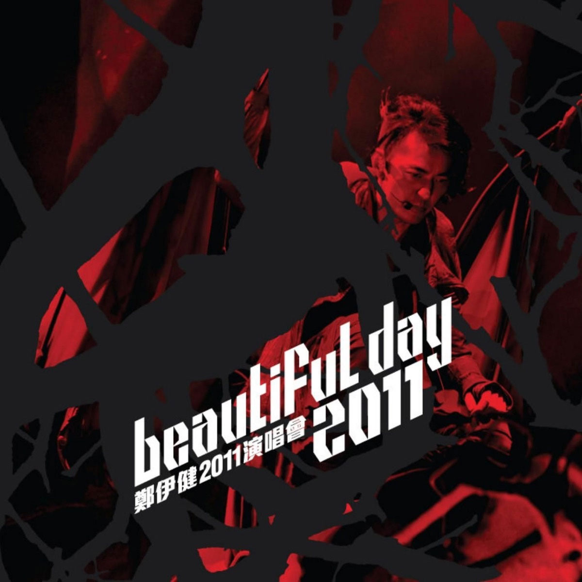 郑伊健 Ekin Cheng Beautiful Day 2011 Concert 2011 720P [BDrip NKV 11.3GB]