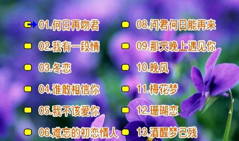 刘秋仪 – 冬恋[KTV][2DVDISO][3.09G+3.17G]