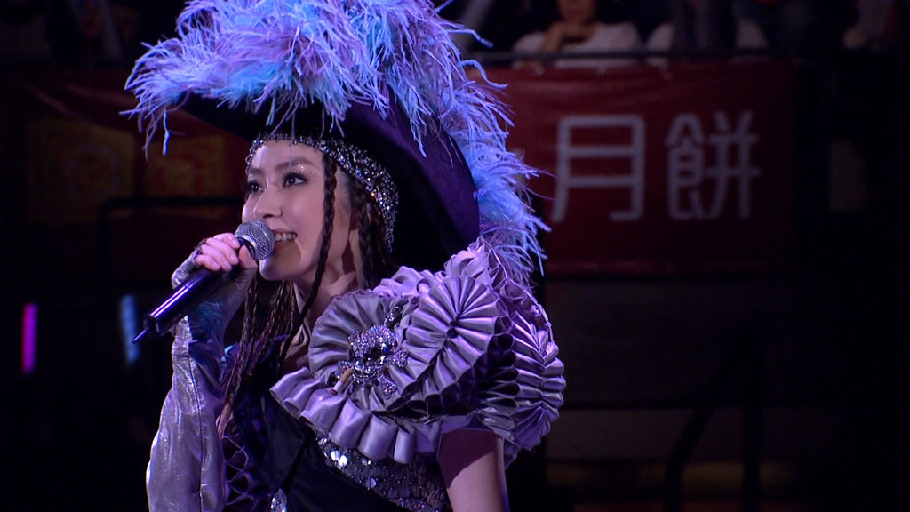 陈慧琳 Kelly Chen Love Fighters 2008 香港红馆演唱会 分段/无字幕《Remux TS 41.1G》