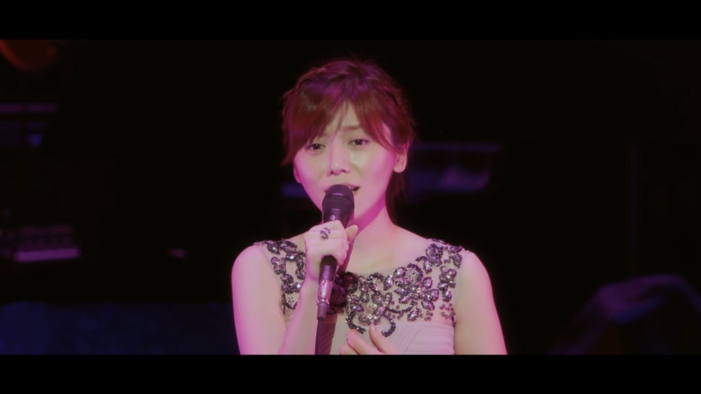 柴田淳 Jun Shibata – Concert Tour 2013 Moon Night Party Vol.4《BDISO 19.1G》