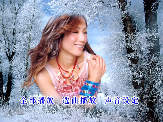 群星 – 情歌101 VOL.2(DVD ISO 4.17GB)