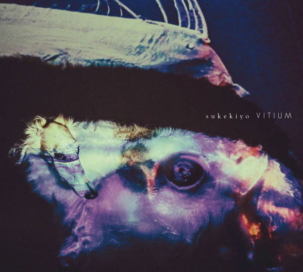 Sukekiyo – VITIUM Blu-ray 2015 专辑蓝光碟部分《BDMV 13.5G》