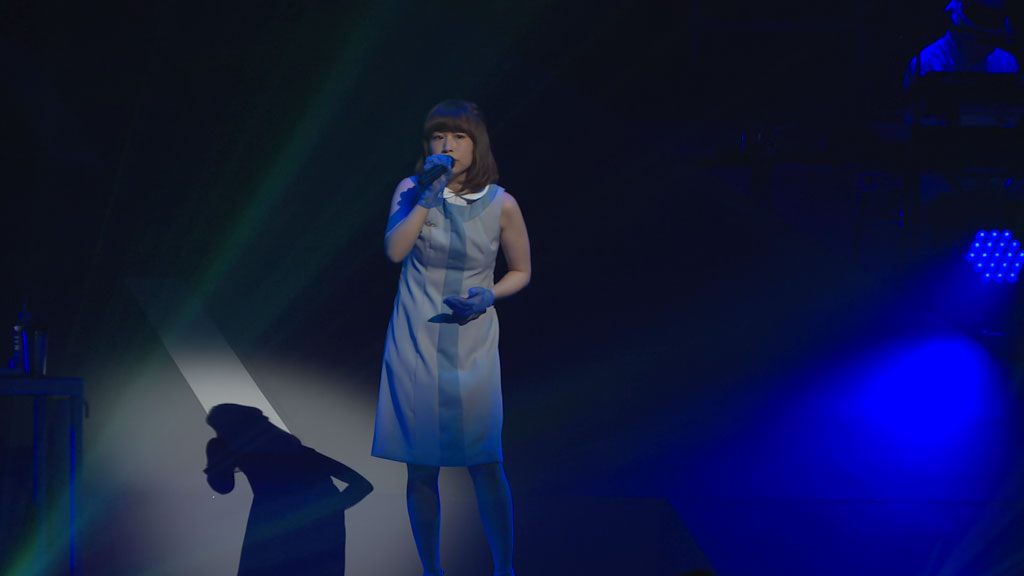 yanaginagi – LIVE 2016 – Follow Your Tracks《Remux MKV 15.3G》