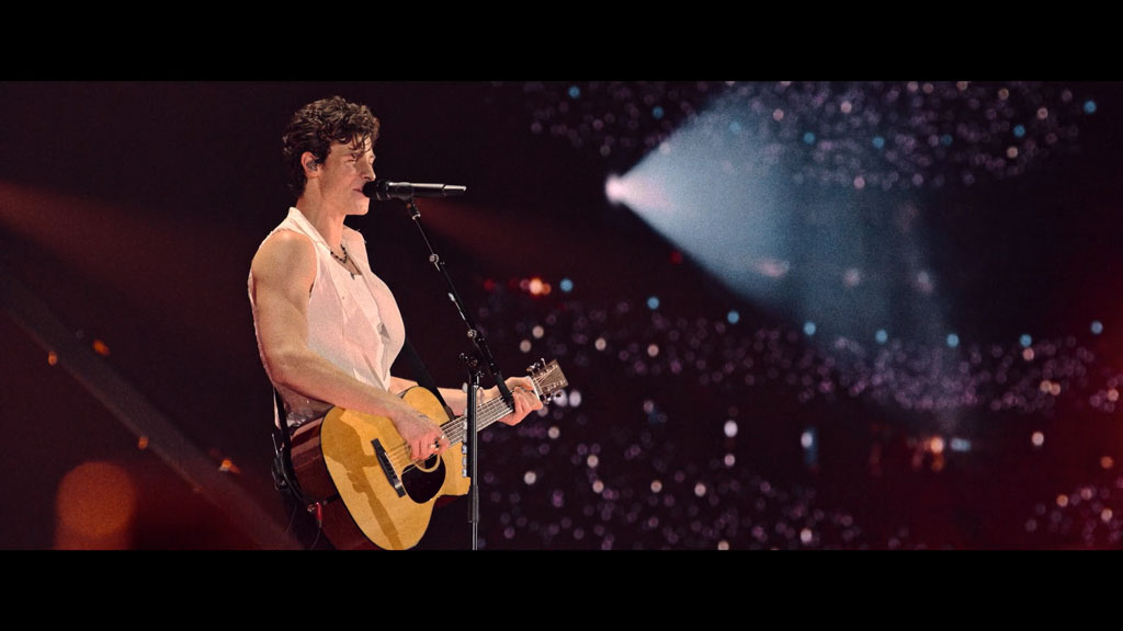 肖恩·门德斯：巡回演唱会纪实 Shawn Mendes Live in Concert 2020《WEB-DL MKV 4.04G》