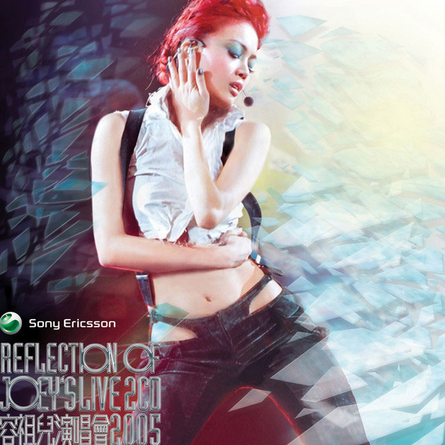 容祖儿 Reflection of Joey\’s Live2005演唱会 卡拉OK 3DVD [DVDISO 16.79GB]
