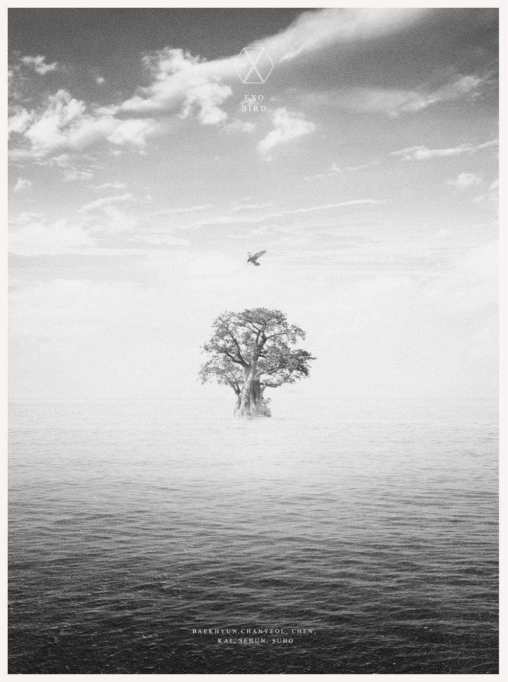 EXO – BIRD 2019 [BDMV 40.7GB]