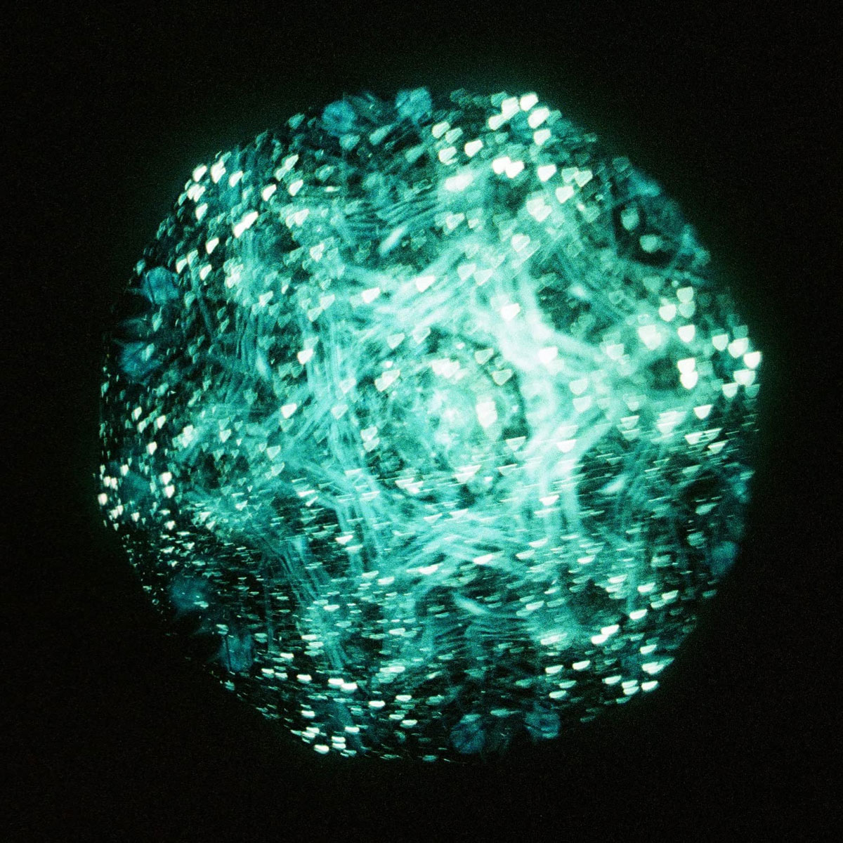 Regal Lily – C to shi ikeru mono CD+BD 2022 [BDMV 21.2GB]