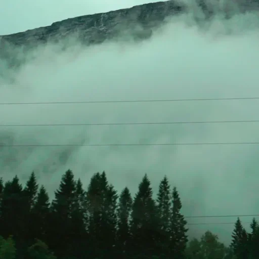 Wandering Mind, Drifting Weather