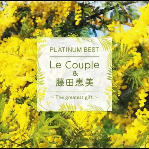 PLATINUM BEST Le Couple&藤田恵美 ~The greatest gift~