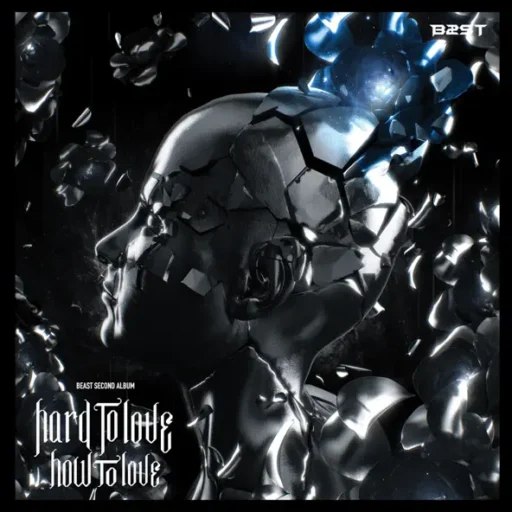 Hard to love,How to love