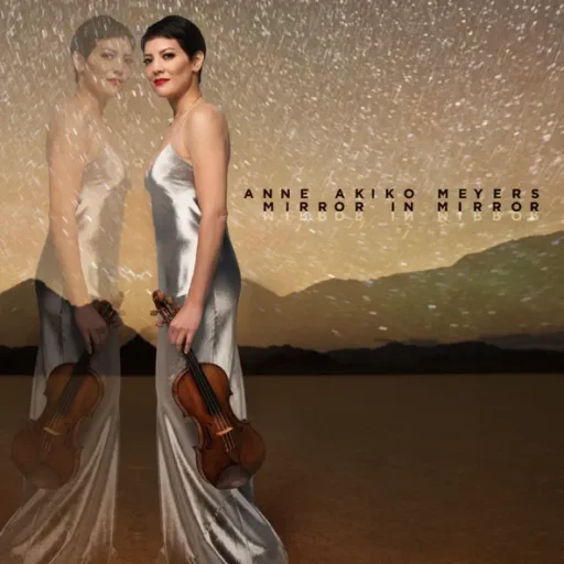 镜中镜 (Mirror in Mirror)