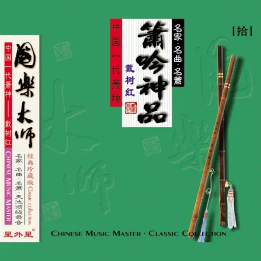 国乐大师 10.戴树红