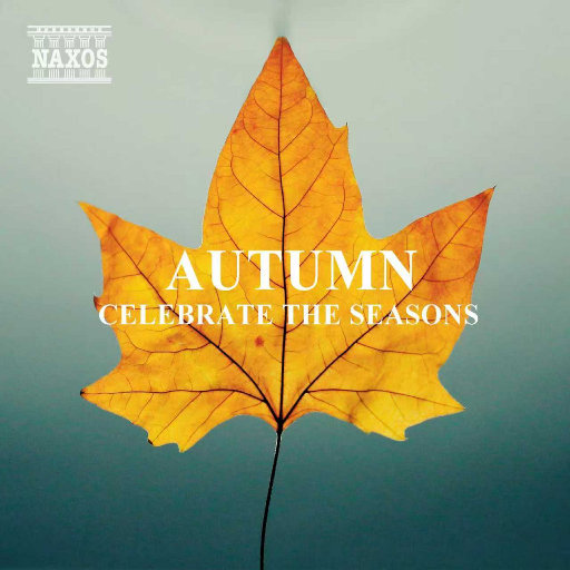 一叶知秋-拿索斯Hi-Res音乐特辑