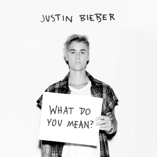 What Do You Mean?-Single